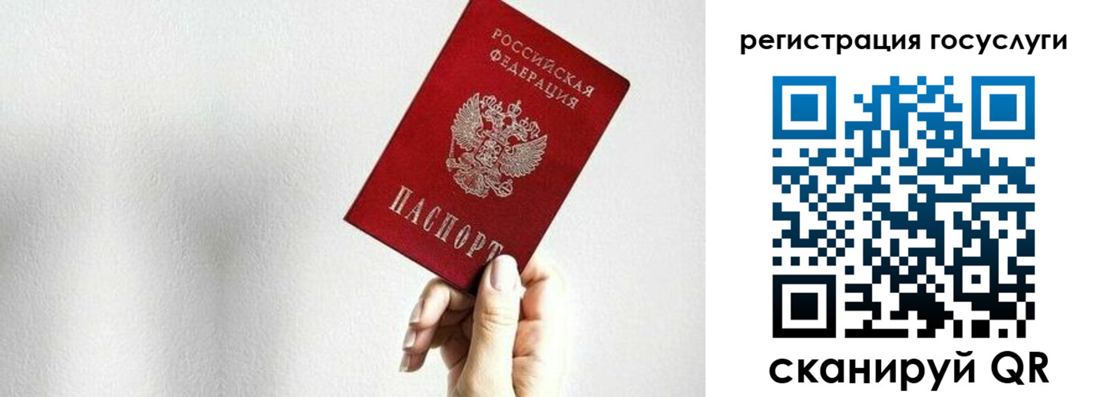 прописка гарантия в Шилке